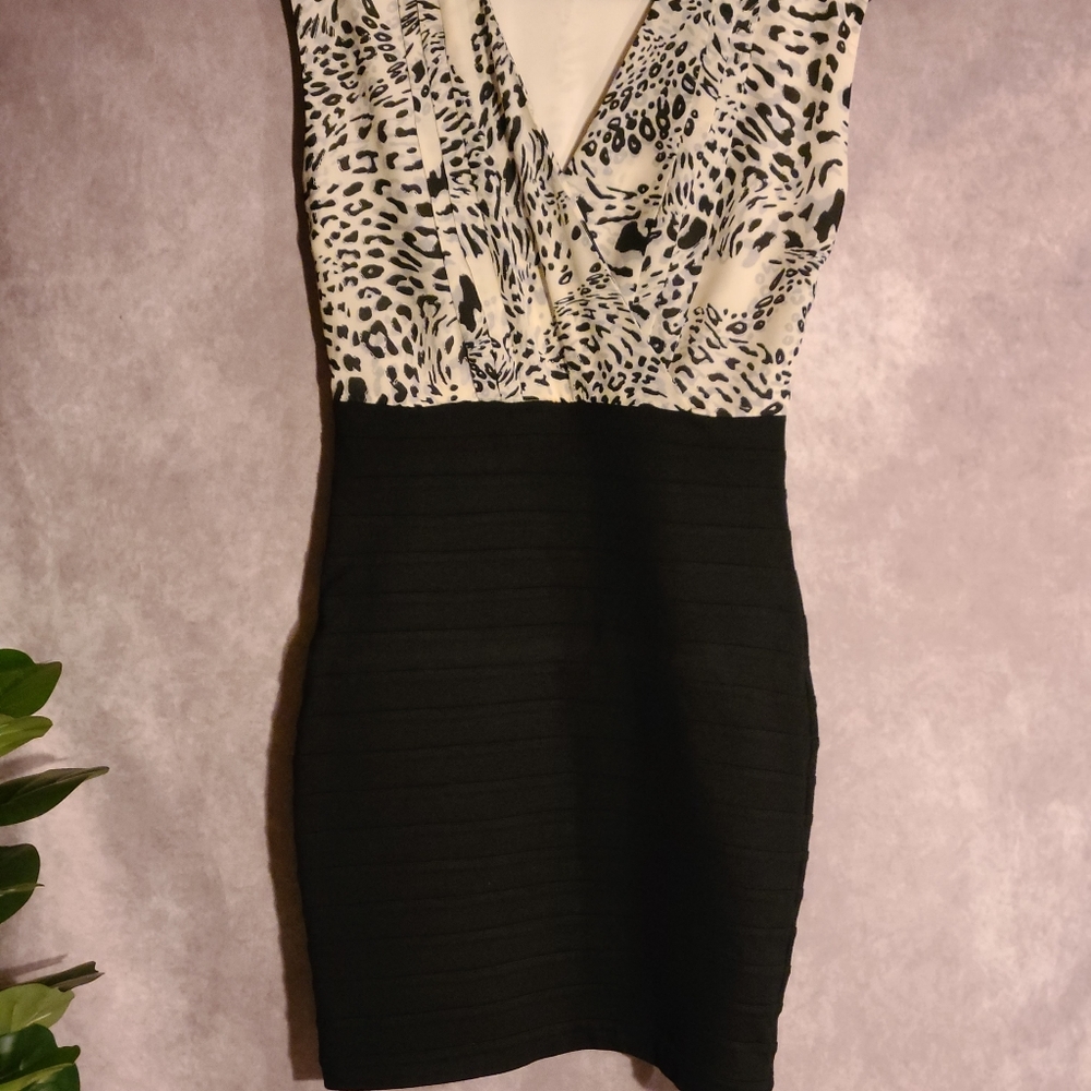 Cocktail Dress